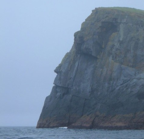 staclevenish-e1466624728661